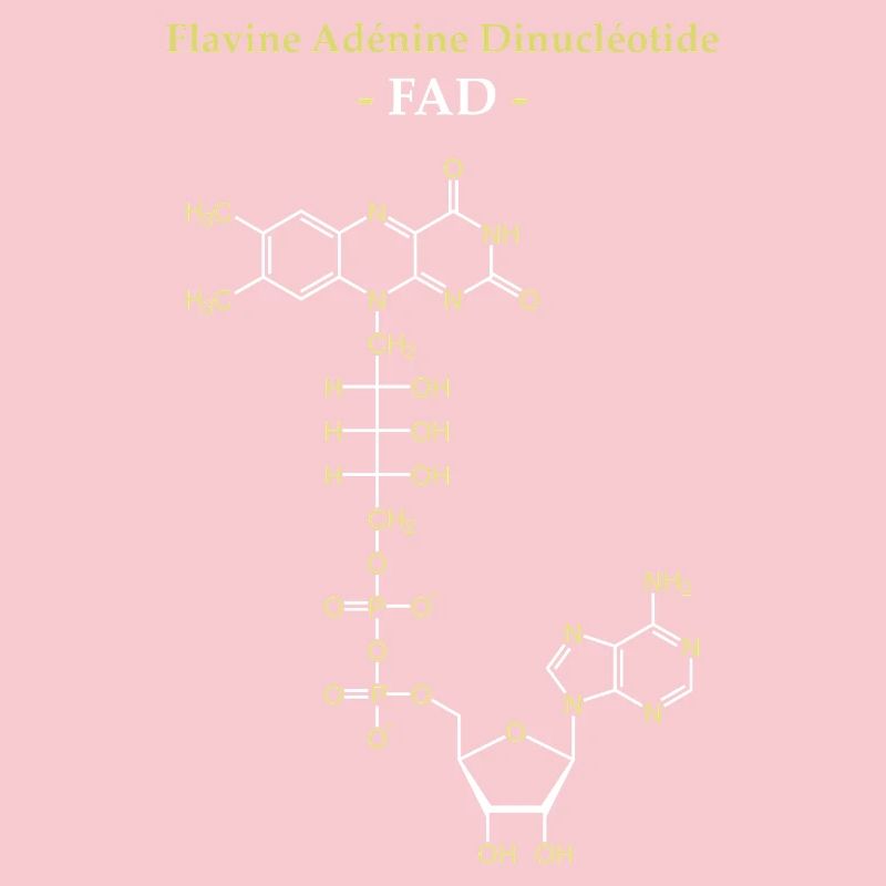ADF Flavin-Adenin-Cofaktor