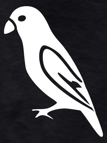 Bird White Gift Nature Lover