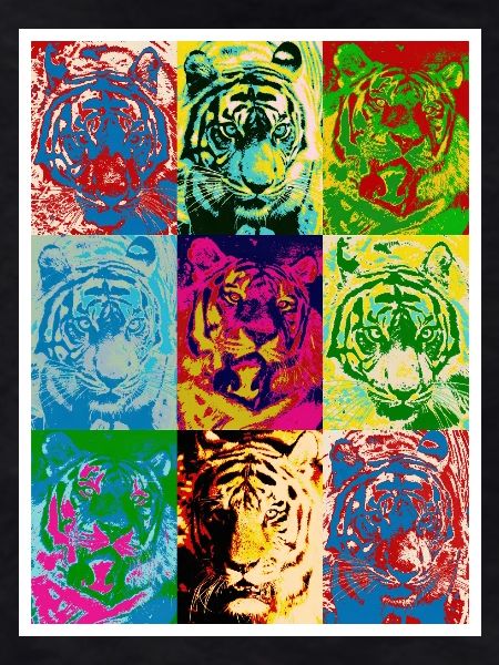 Tiger_4