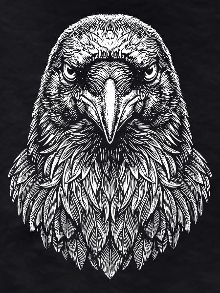 Aviator Eagle Headline Art
