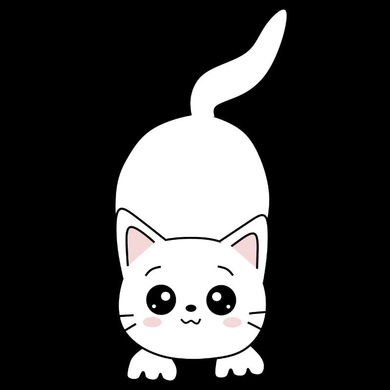 Cat White White Cats Kawaii Cat Cute