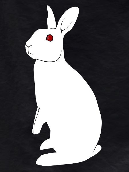 Lapin albinos