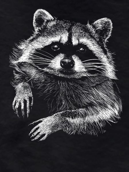 Waschbär
