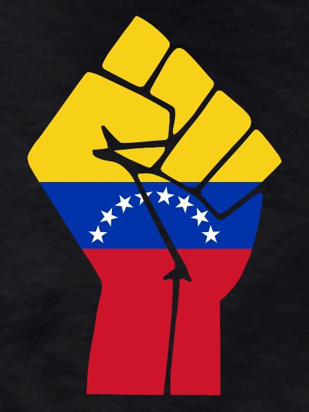 Venezuela Fist Flag