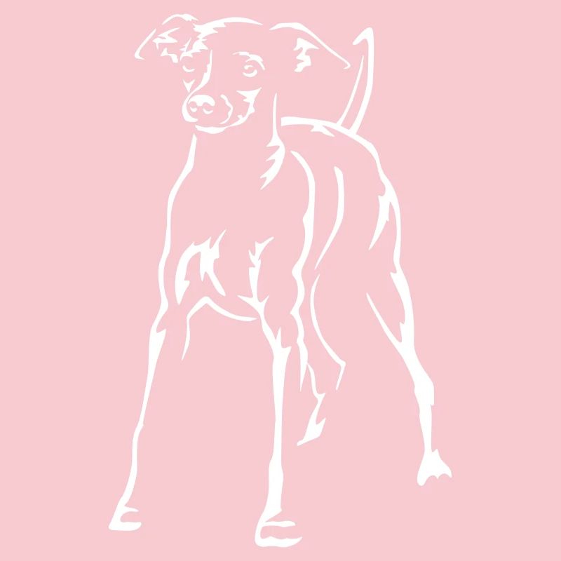 Dwarf Pinscher "Black Edition"