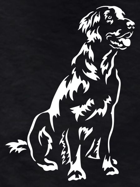 Flat-coated Retriever "Black Edition"
