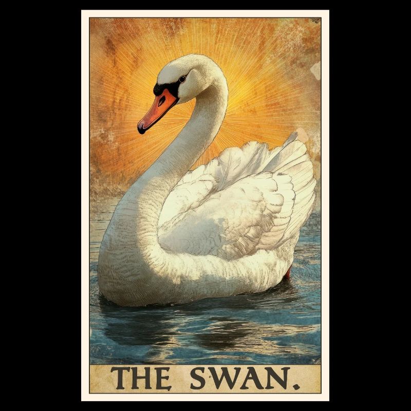 Swans Swan