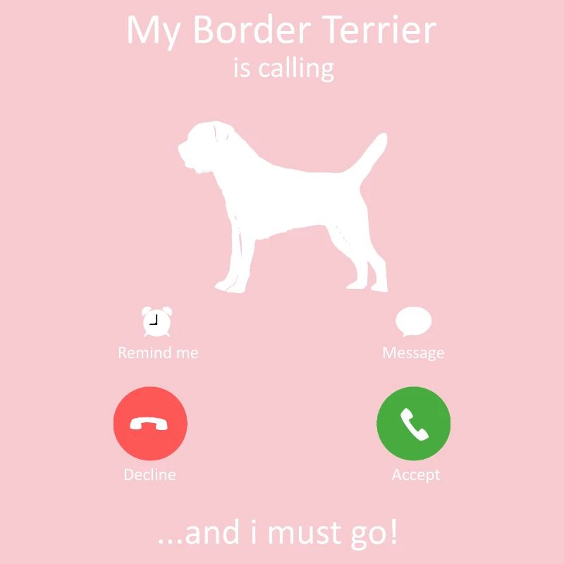 Loyal Border Terrier Dog Breed Is calling