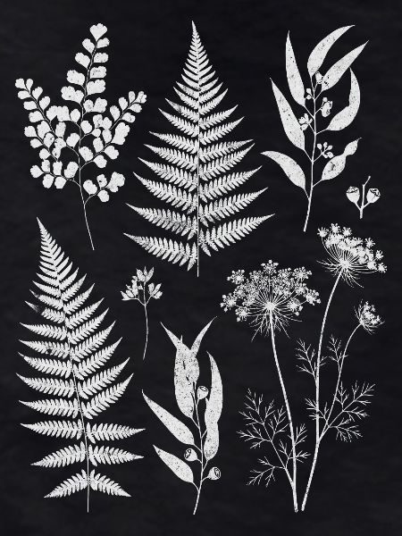 Botanical silhouettes in white
