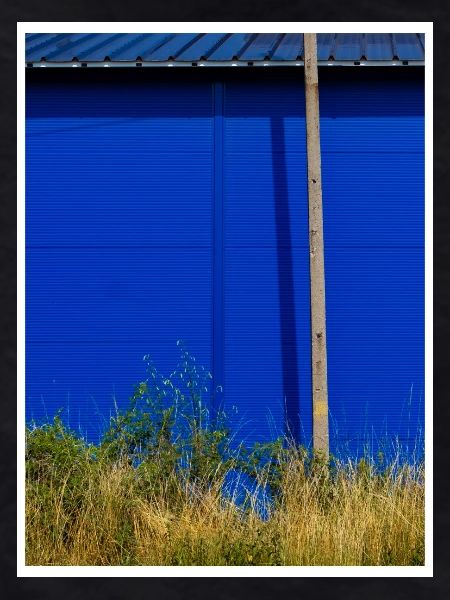 BLUEGROWN.