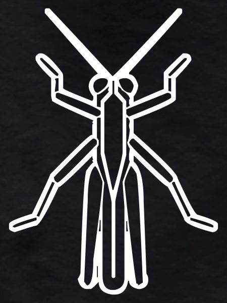 A grasshopper