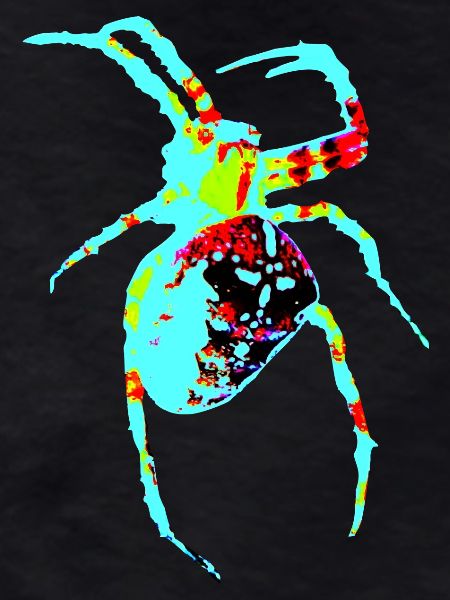 Spinne in Neonfarben