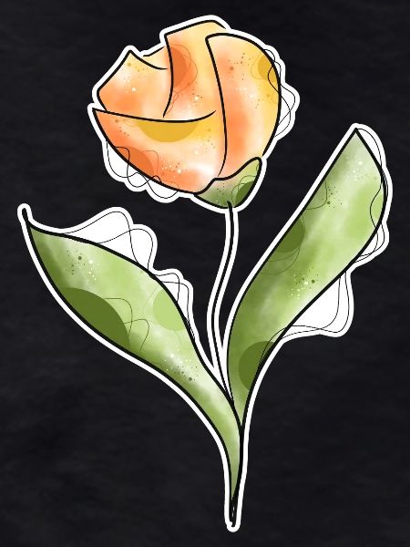 Tulpe