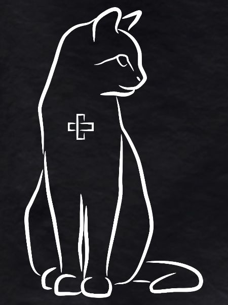 Veterinarian Cat