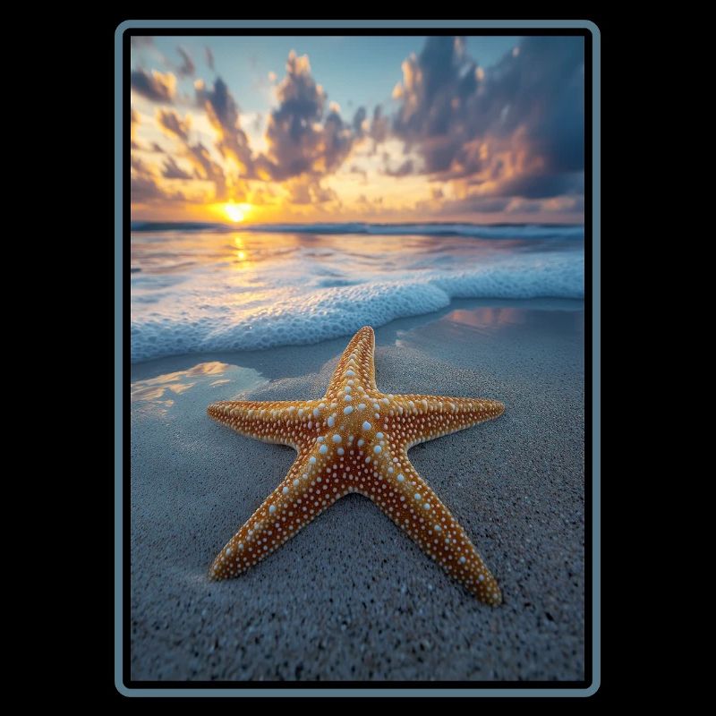 Étoile de mer Étoile de mer