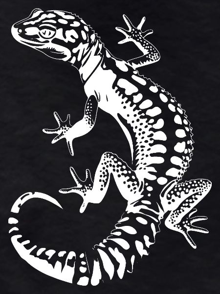 Gecko Silhouette Leopard Gecko
