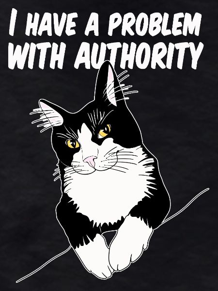 Cat Defies Authority