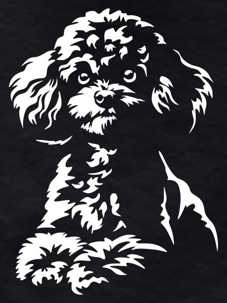 Caniche « Édition Noire »