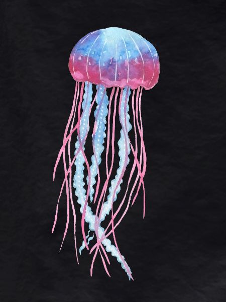Jellyfish
