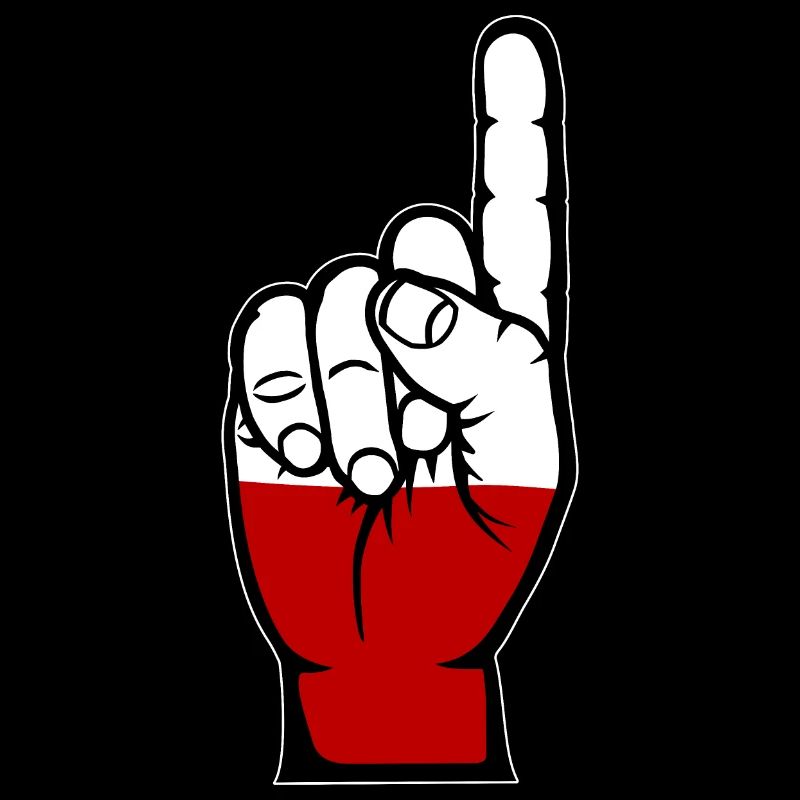 Drapeau numéro 1 de la Pologne