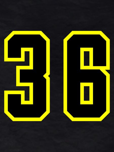 36 Number Leotard