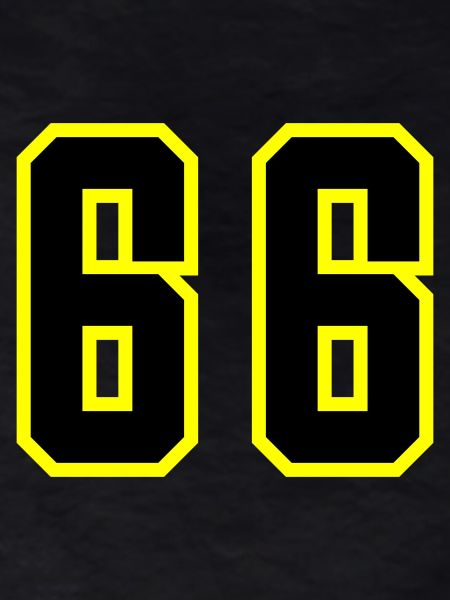 66 Number Leotard