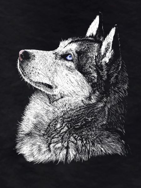 Husky