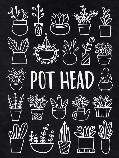 Plant Plants