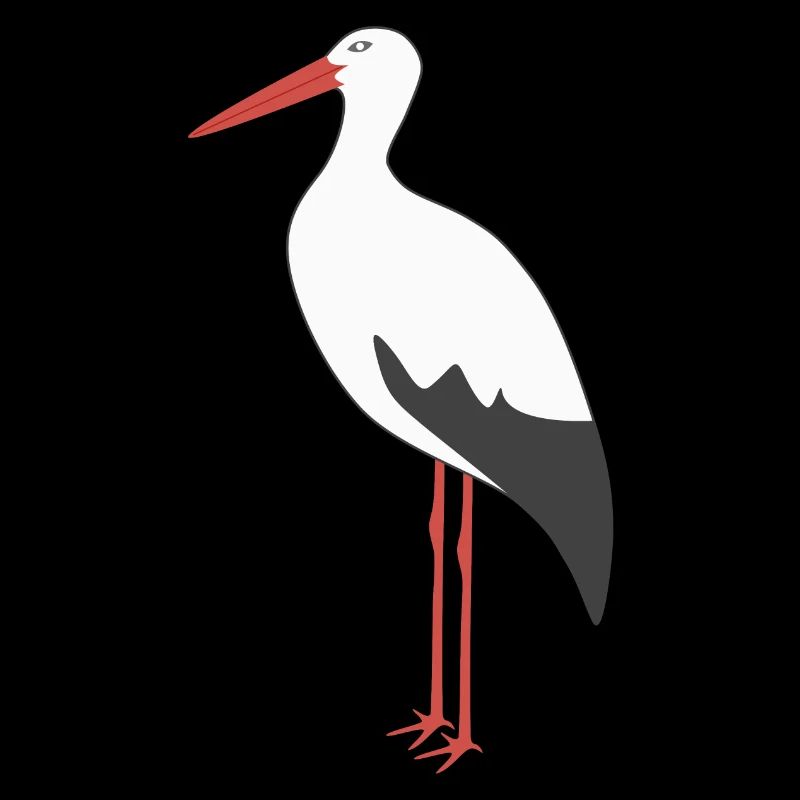 Weißstorch