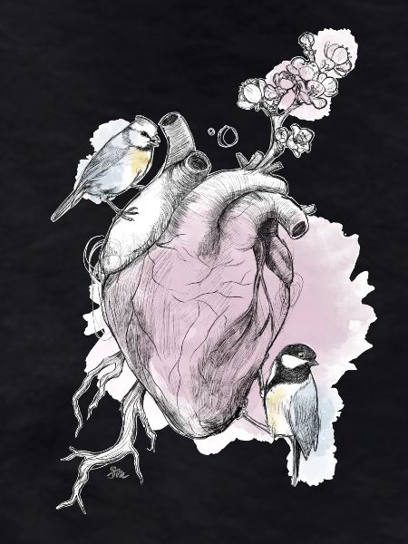 and heart