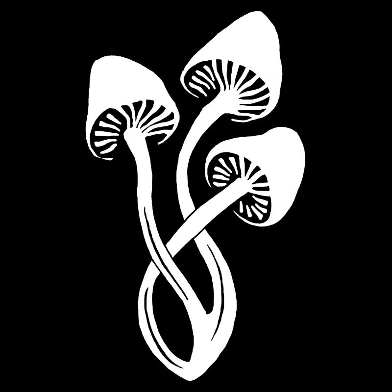 Weißes Pilz-Trio