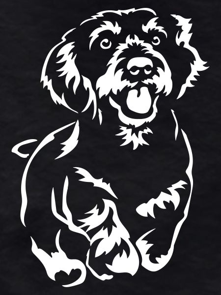 Dachshund "Black Edition"