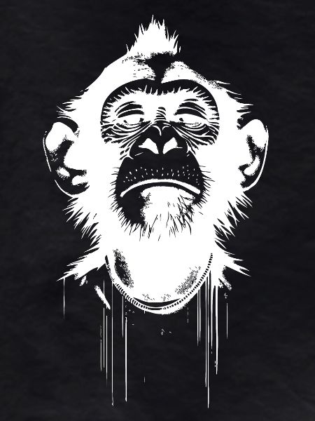 Monkey President