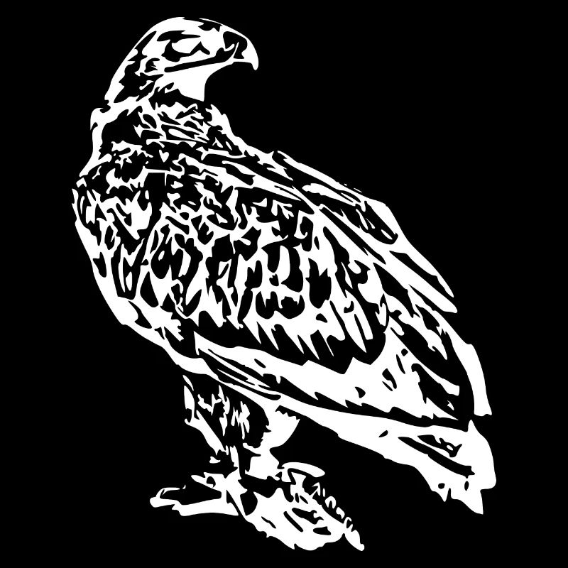 Hawk Bird White Birds