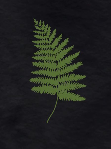 Think Green Fern Nature