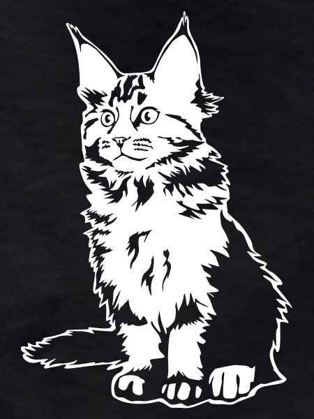 Maine coon cat "Black Edition"