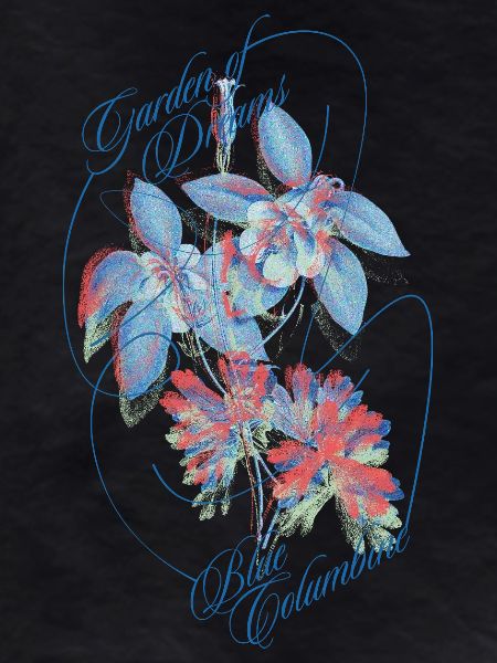 Blue Columbine – Garden of Dreams