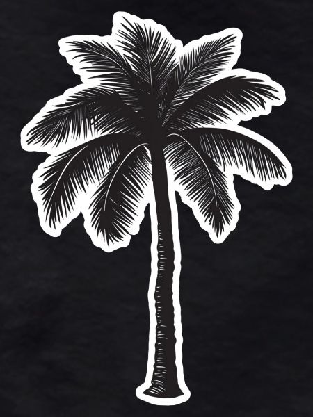 Palme