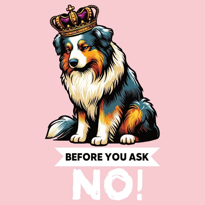 Before You Ask Australian Shepherd Aussie Aussies