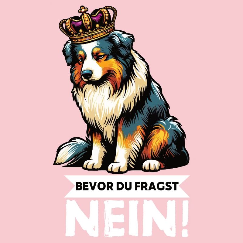 Bevor Du Fragst Australian Shepherd Aussie Aussie