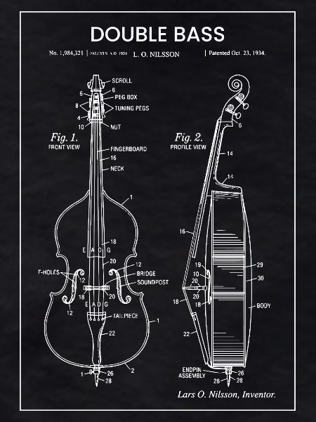 Blueprint Double Bass Illustration