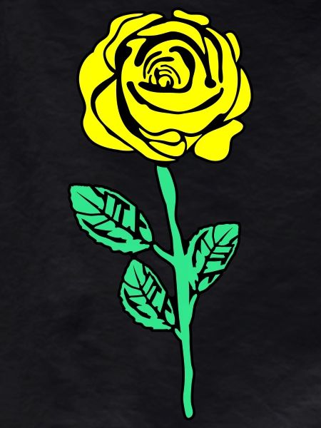 Yellow Rose