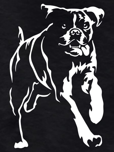 Boxer "Black Edition"