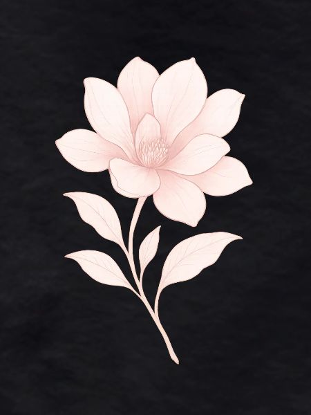 Pink Magnolia, Blossom