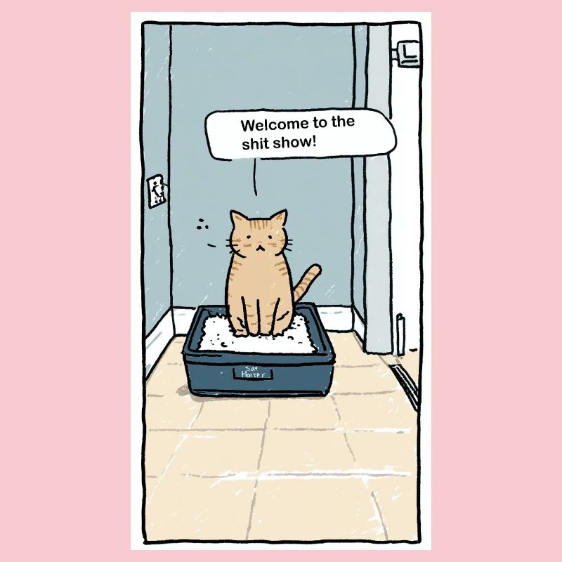 Litter Box Shitshow Humor