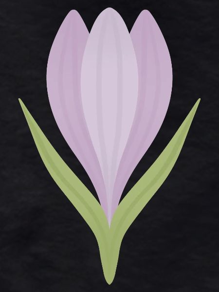 Lilac Crocus Bloom Illustration