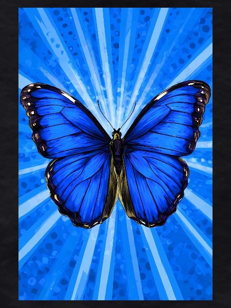 Schmetterling
