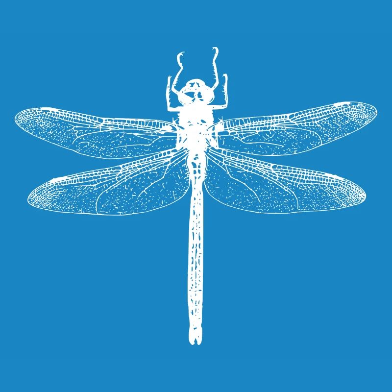 Libellule