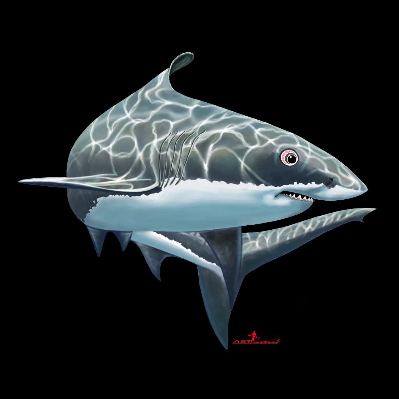 great white shark/ shark