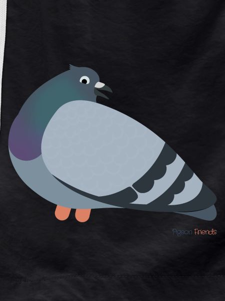 Pigeon pigeons
